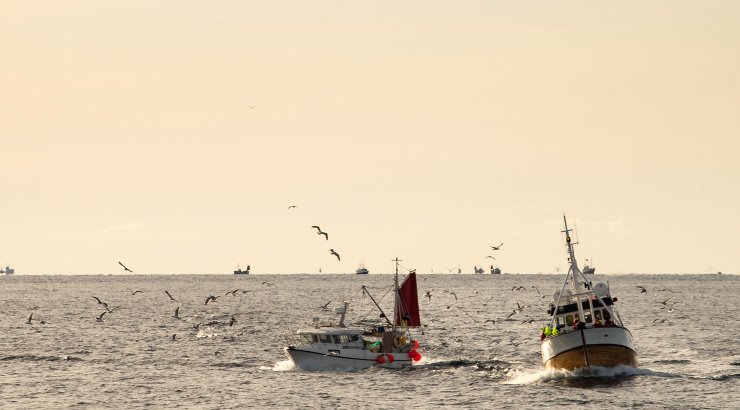 Illustrasjon, fiskebåter. Foto: © Vegard Oen Hatten / Fiskeridirektoratet