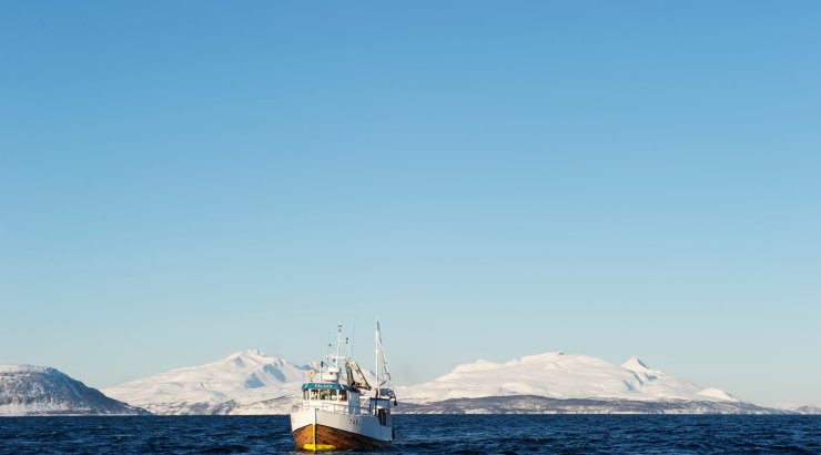 Kystfartøy. Foto © Johan Wildhagen, Sjømatrådet