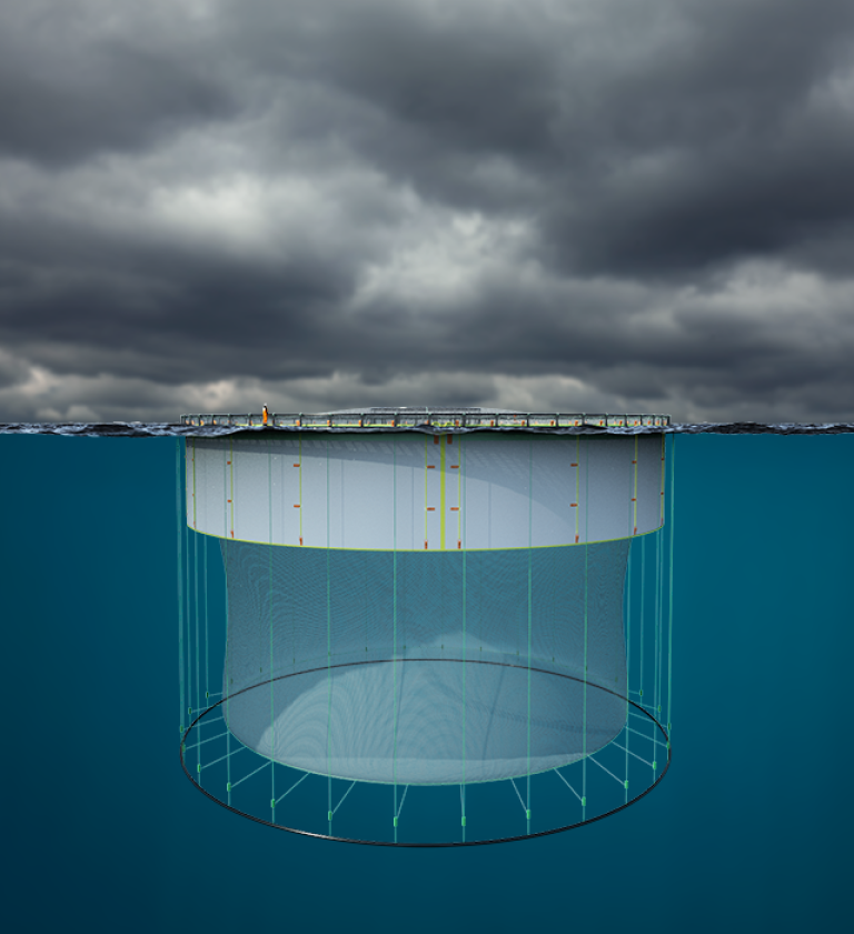 Figur 3: Luseskjørt påmontert rundt notpose. Illustrasjon: © Botngaard. Figur 3: Luseskjørt påmontert rundt notpose. Illustrasjon: © Botngaard.