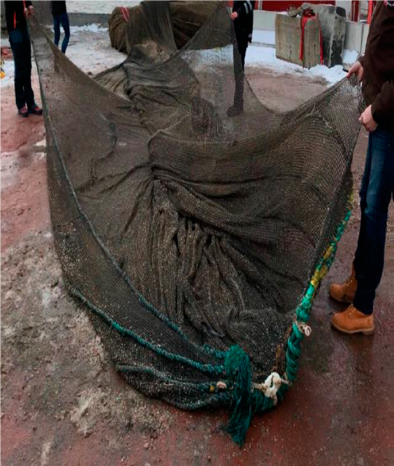 Figur 6: Notposen revnet når sammenkoblingen for krysstau gikk i brudd. Foto: Fiskeridirektoratet Figur 6: Notposen revnet når sammenkoblingen for krysstau gikk i brudd. Foto: Fiskeridirektoratet