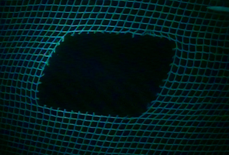 Figur 1. Hull i not (14 x 11 masker) som følge av at nytt notstykke ikke har blitt satt inn. Foto: © selskapet