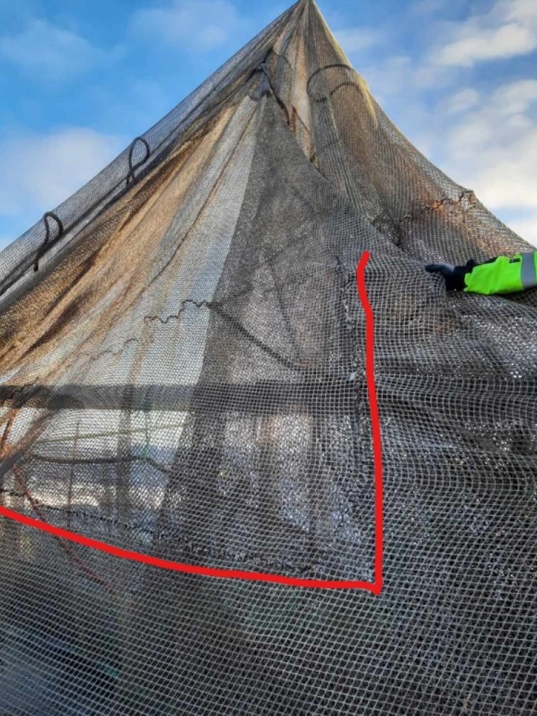 Hullet på notposen har form som en &nbsp;«L».