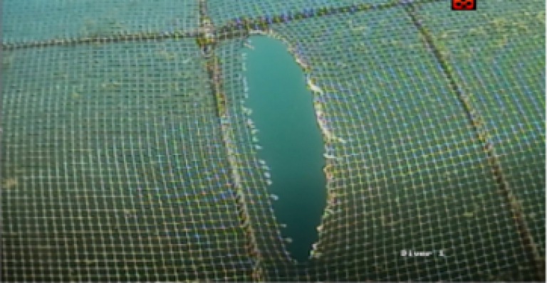 Figur 3 Bilde av hull i not fra makrellstørje. Foto: Selskapet