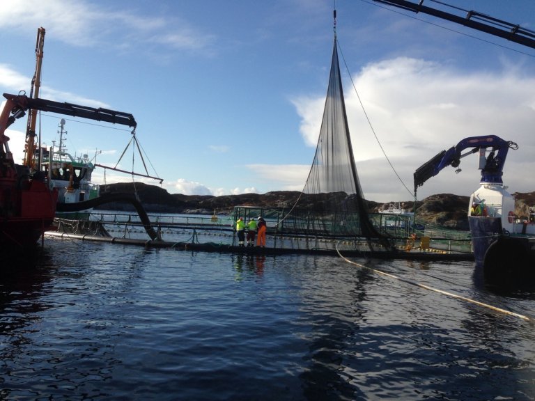 Servicebåt ved merd