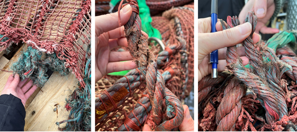 Figur 4. Bildet til venstre viser enden av krysstau som var slitt av senterringen. Bildet i midten viser et «øye» som er skjært av senterringen og slitasjen som er på innsiden. Bildet til høyre viser samme type slitasje på nabonoten på lokaliteten. Foto: Fiskeridirektoratet