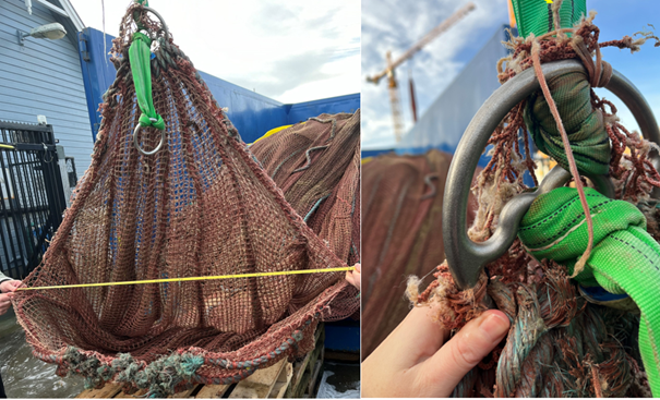 Figur 3. Bildet til venstre viser hullet i sin helhet mens bilde til høyre viser nærbilde av senterring der krysstau har løsnet fra. Foto: Fiskeridirektoratet