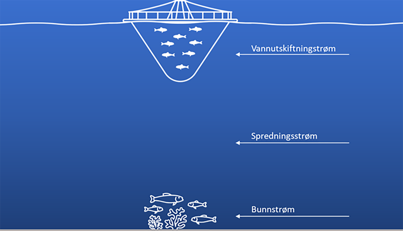 En illustrasjon som viser et oppdrettsanlegg og vertikale strømmålinger, vannutskiftningsstrøm, spredningsstrøm og bunnstrøm