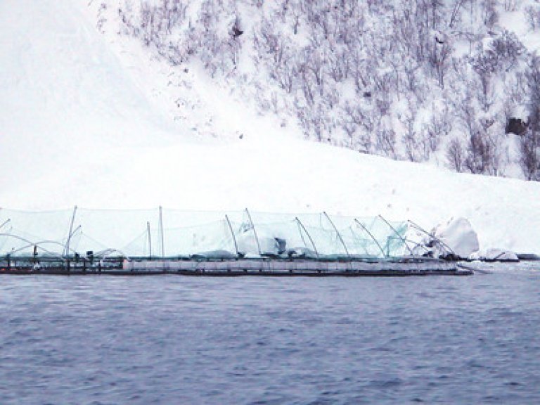 Snøskred har kome inn i merd. Illustrasjonsfoto: © Narve Leonhardsen / Fiskeridirektoratet