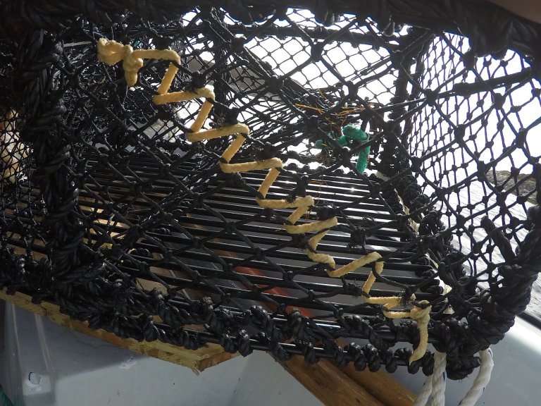 Rømmingshol på sideflate. Foto: Langedal / Fiskeridirektoratet