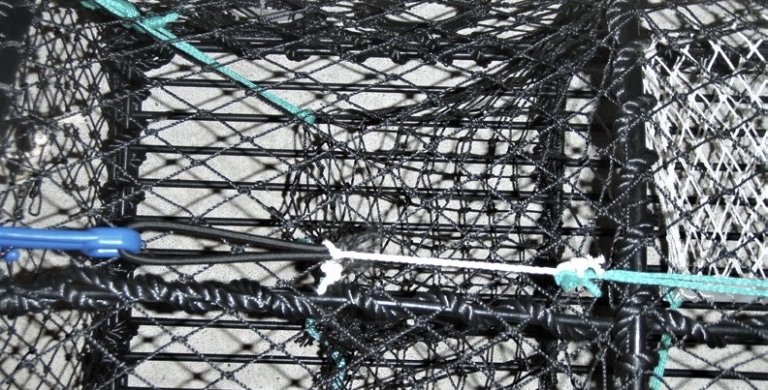 Figur 2: bomullstråd mellom strikk og låskrok. Foto: Landmark Skaar / Fiskeridirektoratet