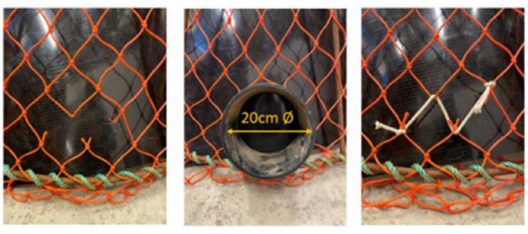 Døme: 10 cm over botnramma. Foto: Havforskningsinstituttet