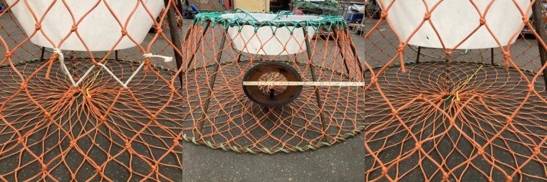 Døme: 40 cm over botnramma. Foto: Havforskningsinstituttet